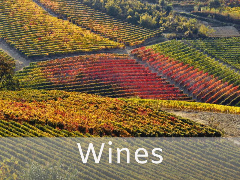 Piedmont Wines